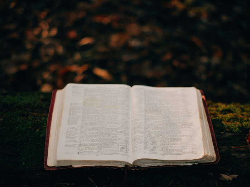 what does the bible say about money